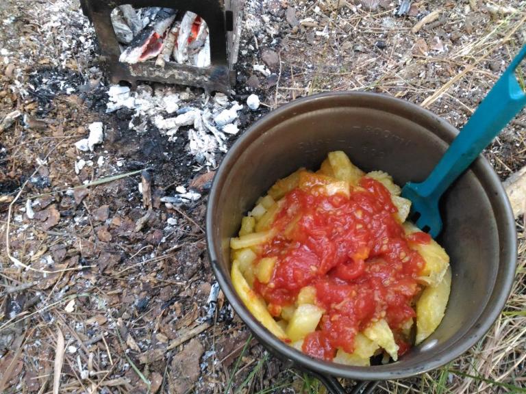 French fries with tomato sauce