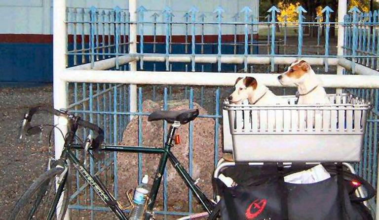 Trek 520 with Xtracycle loaded with side panniers and a special carrier for the two Jack Russell Terriers.